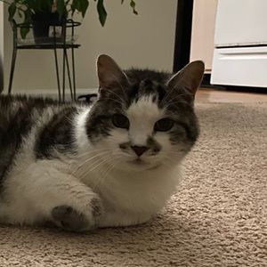 Meet your Posher, Jason